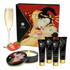 Zestaw akcesoriów - Shunga Geishas Secret Kit Sparkling Strawberry Wine